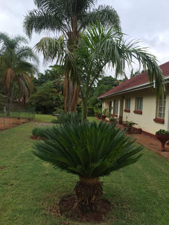 Palm villa Harare Exteriör bild