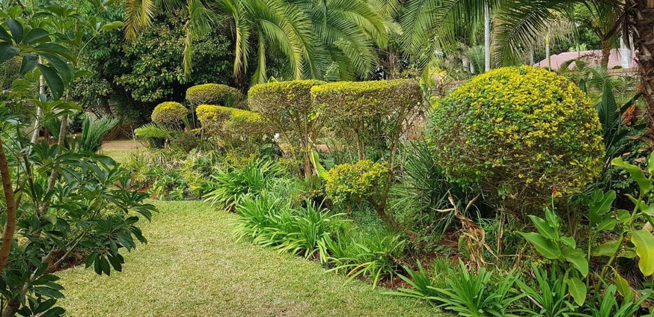 Palm villa Harare Exteriör bild